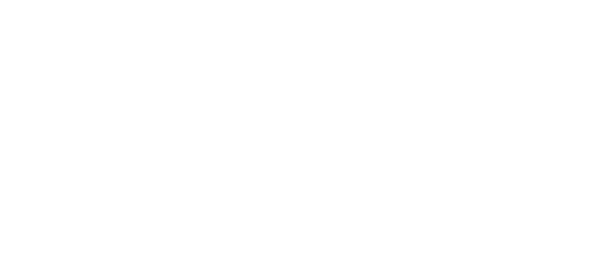 Plummer&Snyder_Logo White 650px